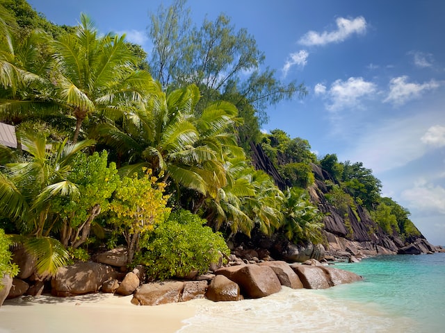 Anse Intendance beach in Seychelles