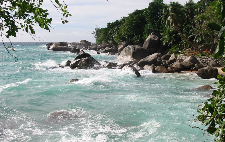 Vallee De Mai Nature in Seychelles