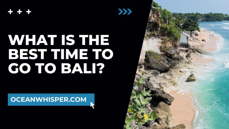 What Is the Best Time to Go to Bali