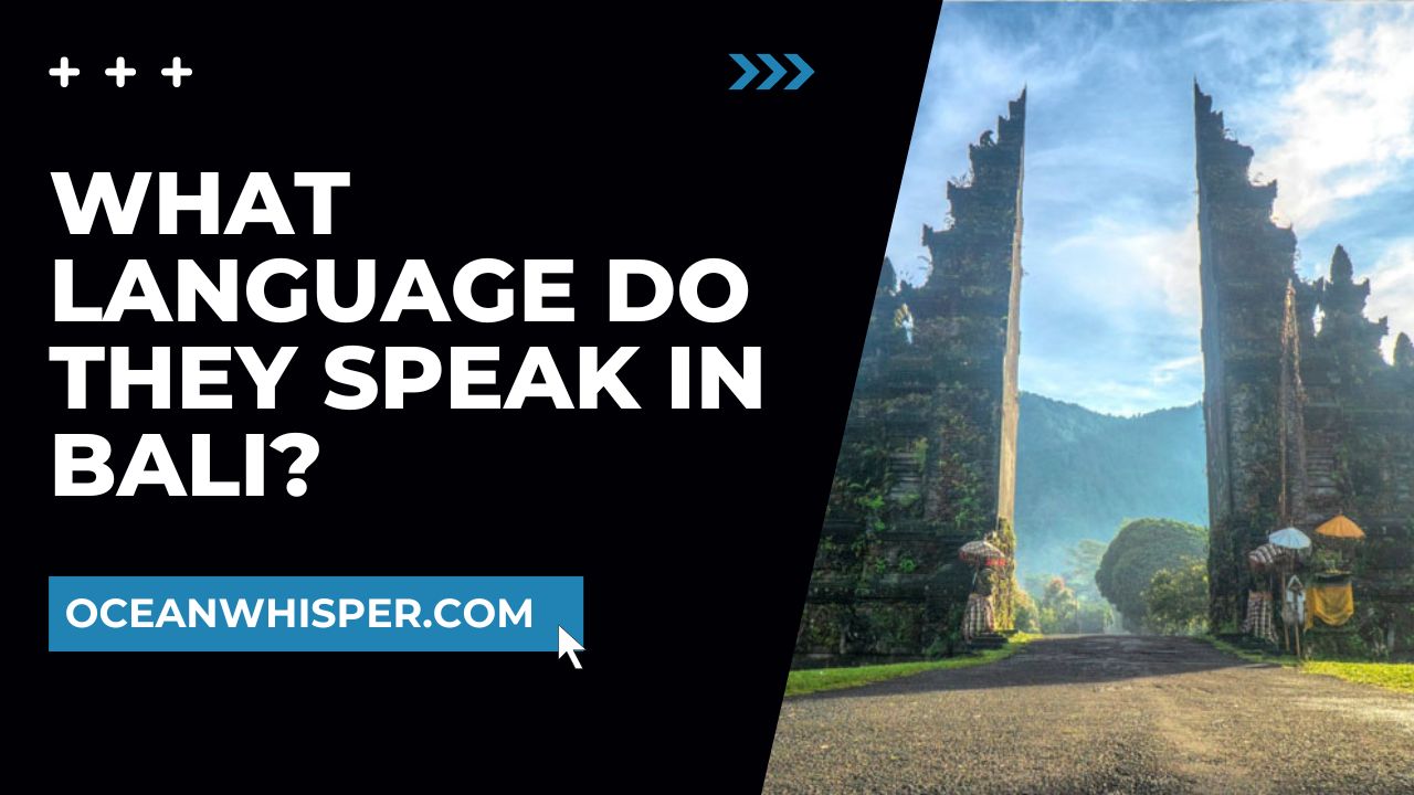 What language do they speak in bali