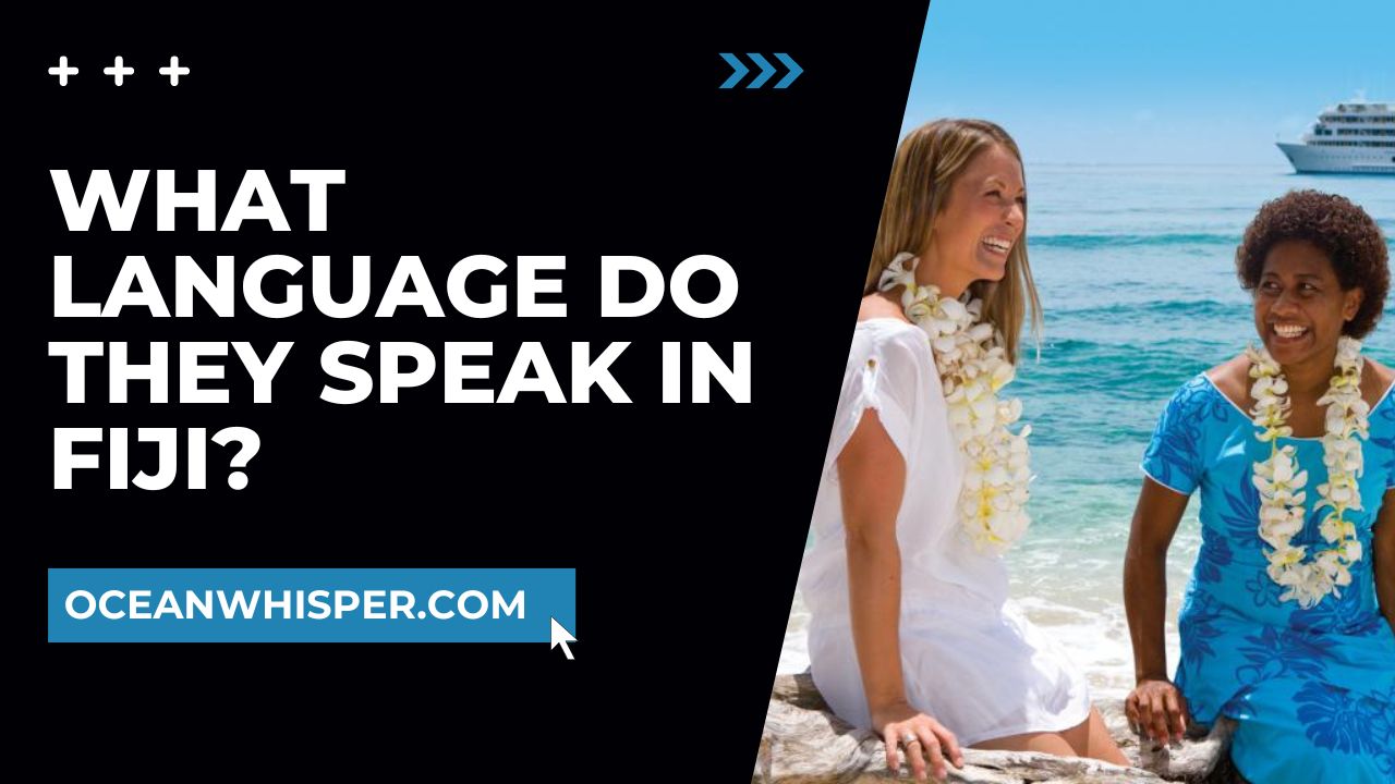 What Language Do They Speak in Fiji