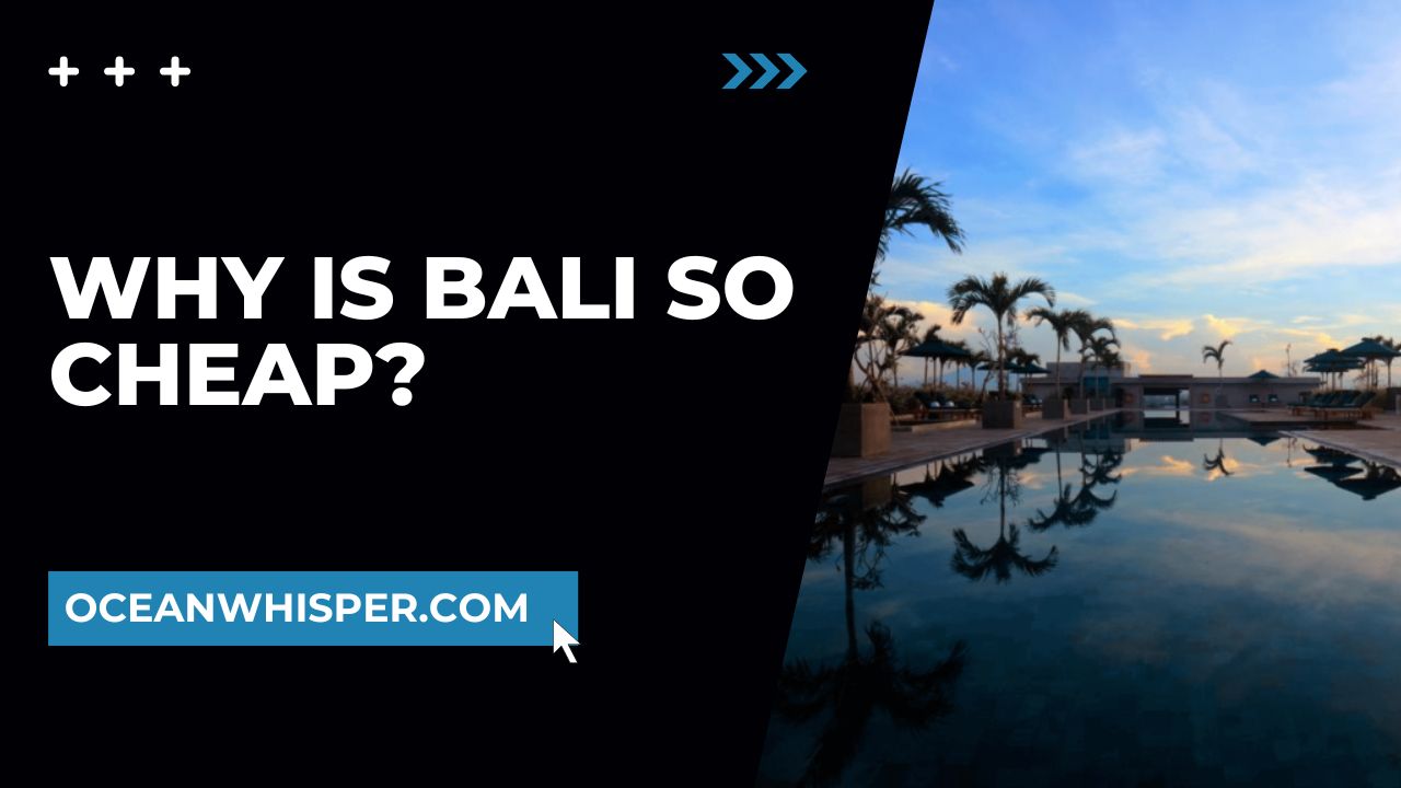 Why is Bali So Cheap